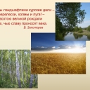 photo thumbnail