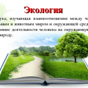 Экологическая безопасность