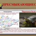 Встречается в мелких болотистых водоемах Глушковского района