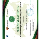 Тубольцева Анна Владимировна