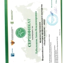 Тубольцева Анна Владимировна