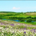 Природа Курского края