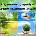 ЭКО стиль