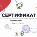 Сертификаты обучающихся