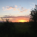 photo thumbnail