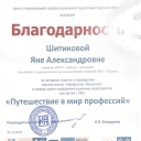 Шитикова Яна Александровна