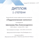 Шитикова Яна Александровна