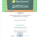 Достижения обучающихся