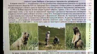 Заповедник им.Алехина - в Изумрудную сеть Европы