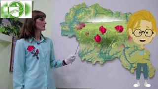 Виртуальная экскурсия в Центрально-Черноземный заповедник  имени  В.В.Алехина  (Курская область)