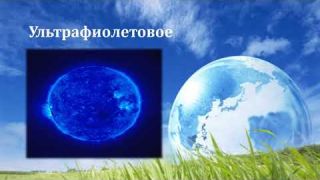 экологическая викторина