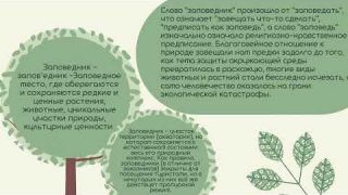 ?Заповедь | Заповедник | Заповедный |  Заповедать? #эко  #экология #эковоспитание #заповедникалёхина