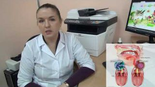Хронический тонзиллит у детей. Часть 1